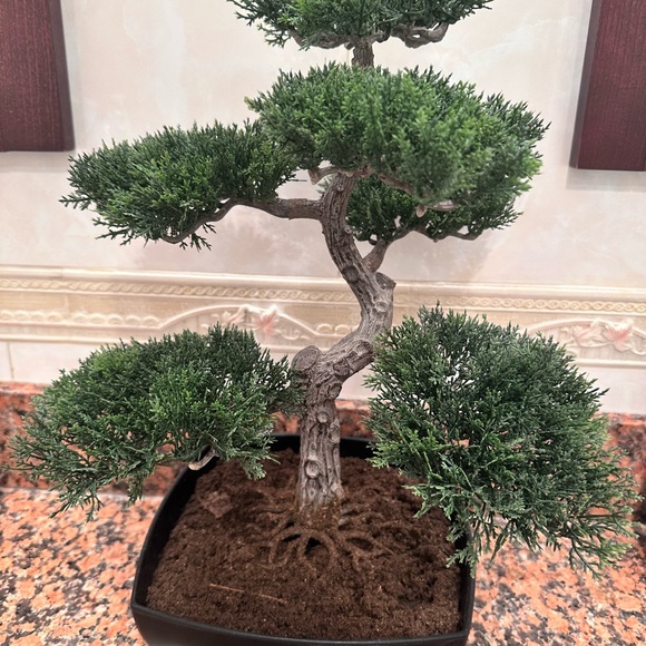 Artificial Elegant Bonsai Pine Tree Plastic Simulation Potted Plant Decorative - Picture 16 of 16
